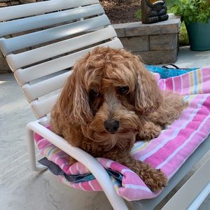 Meet your Posher, Kathleen